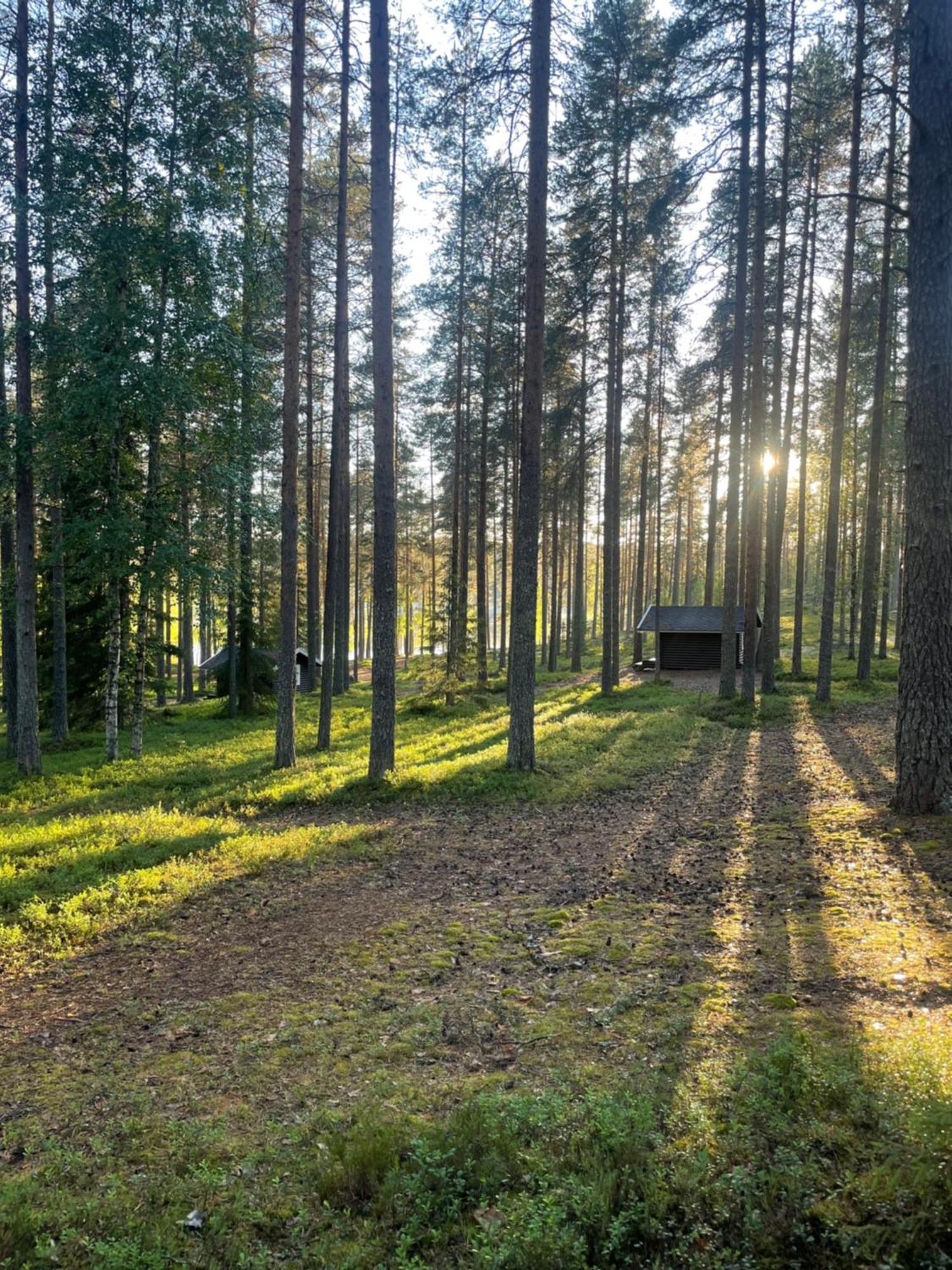 Laahtanen Camping Ristijärvi Exteriér fotografie