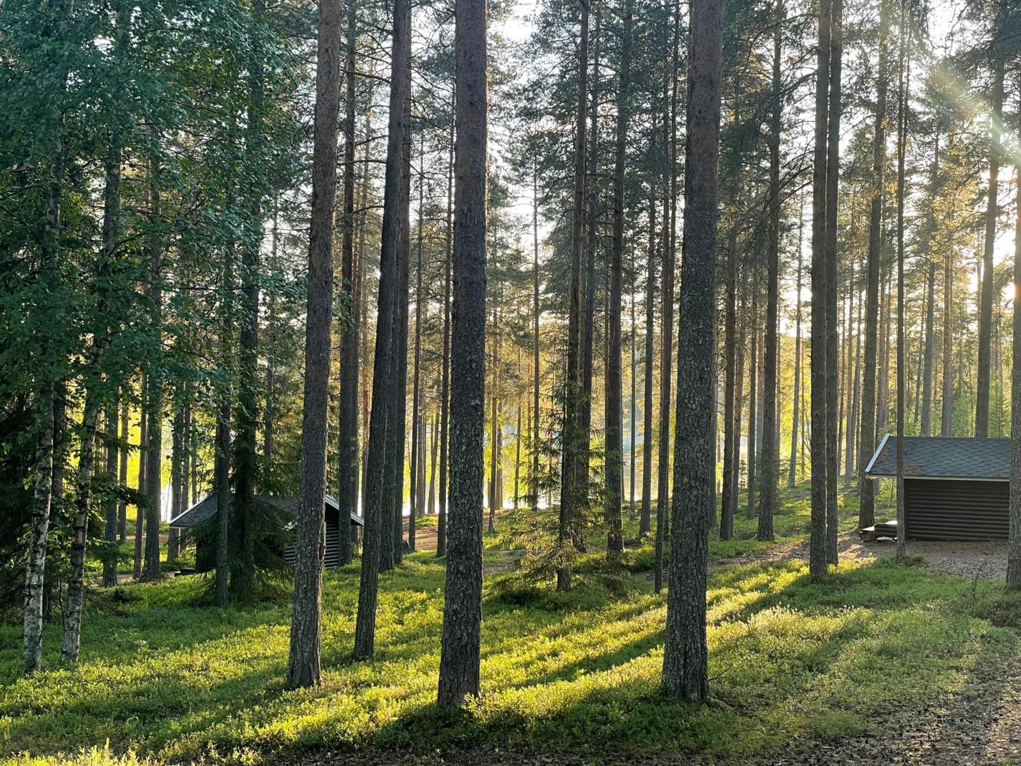Laahtanen Camping Ristijärvi Exteriér fotografie
